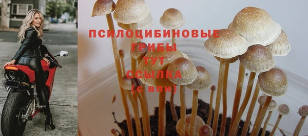 2c-b Аркадак