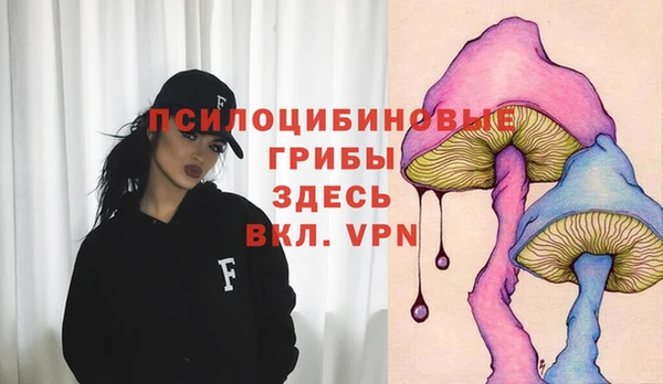 2c-b Аркадак